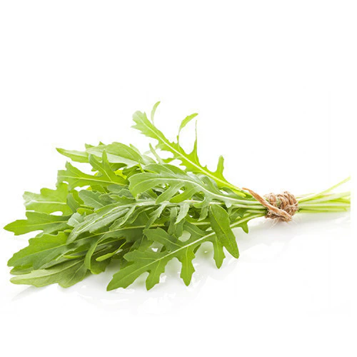 Fresh Herb Arugula bunch