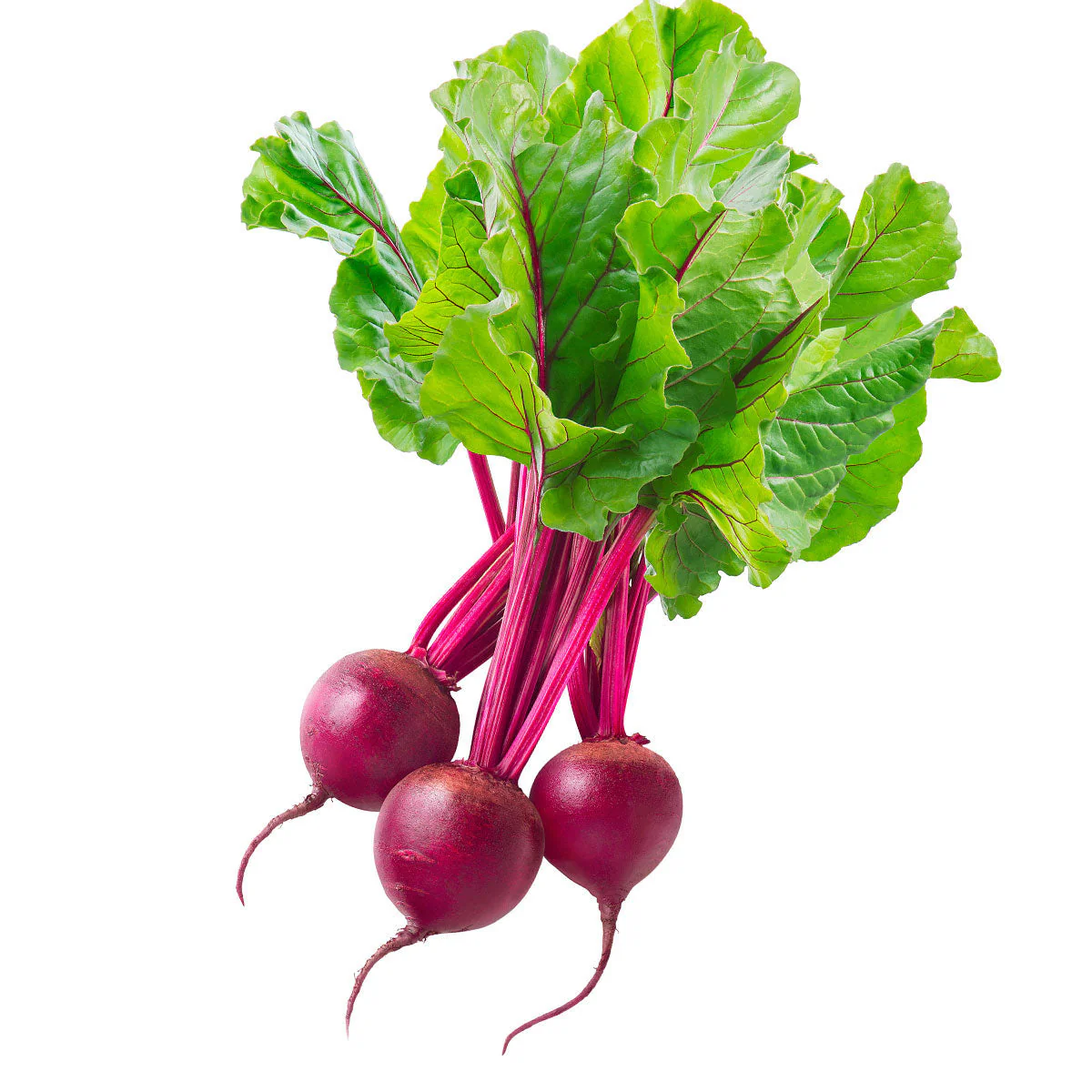 Beetroot Baby Each