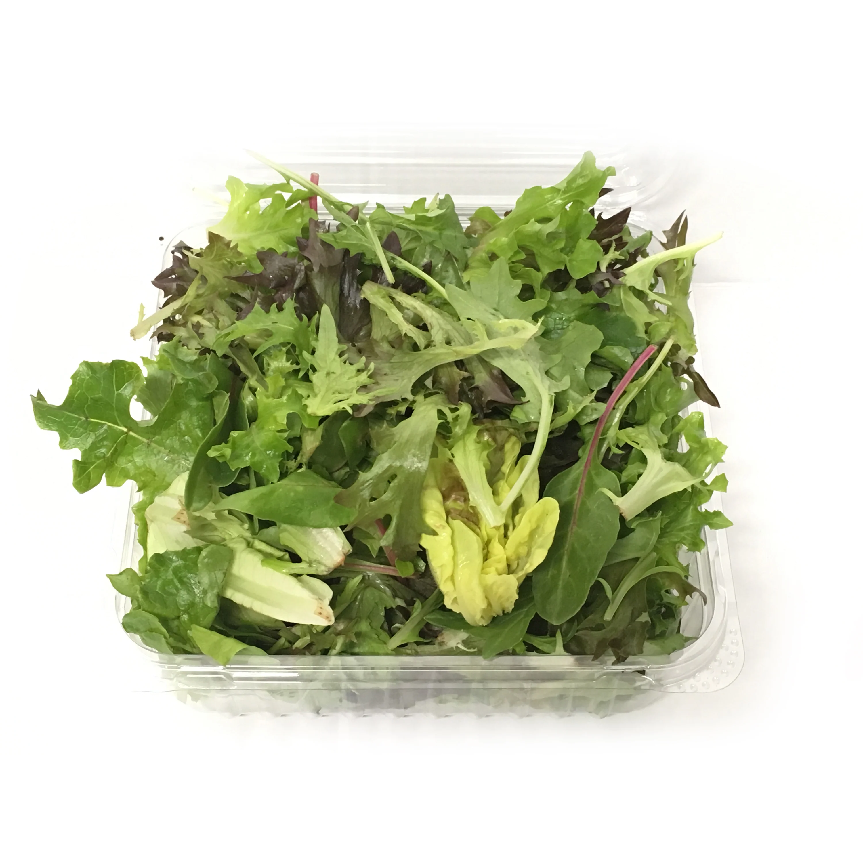 Coolibah Salad Baby Leaves Mixed min 120g - Image 2