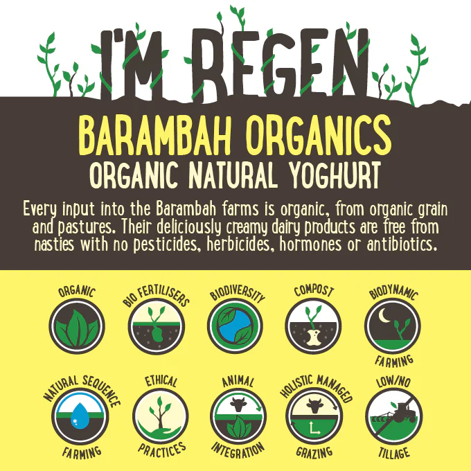 Barambah Organics All Natural Full Fat Yoghurt 500g - Image 2