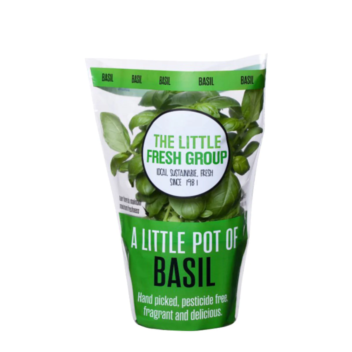 Fresh Herbs Basil Pot Each