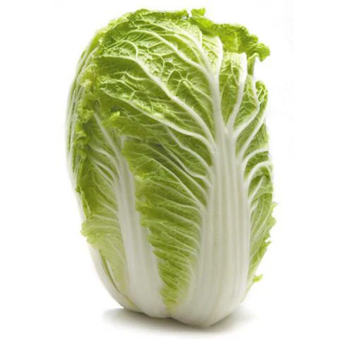 Chinese Cabbage Wombok Whole