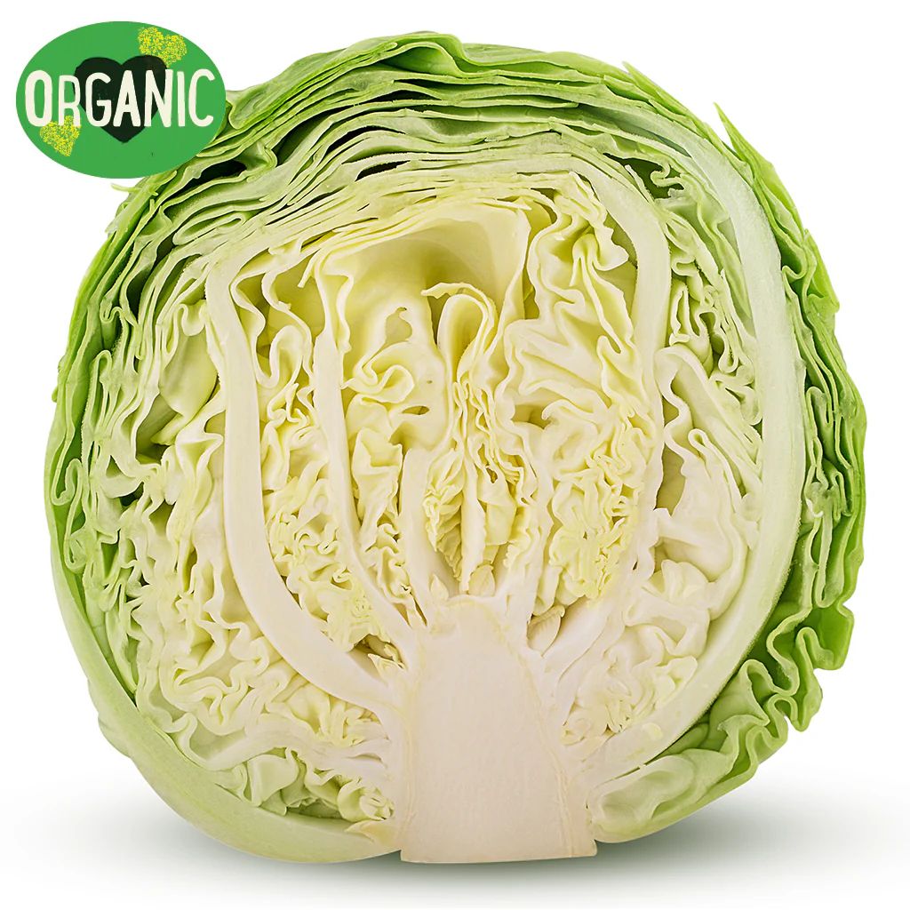 Cabbage Half Organic