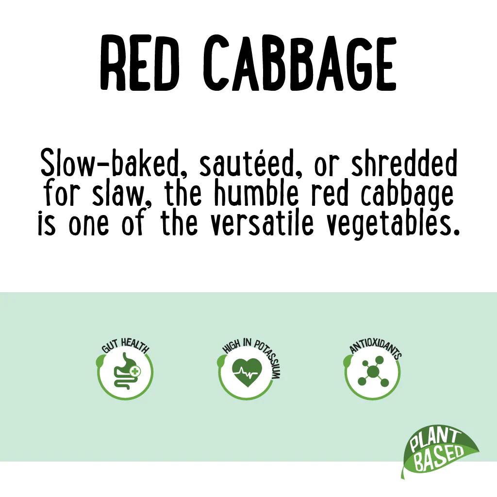 Cabbage Red Whole - Image 2