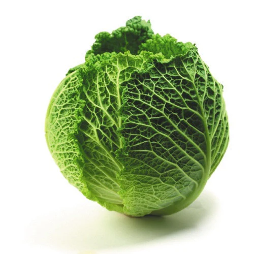 Cabbage Savoy Whole