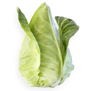 Cabbage Sugarloaf