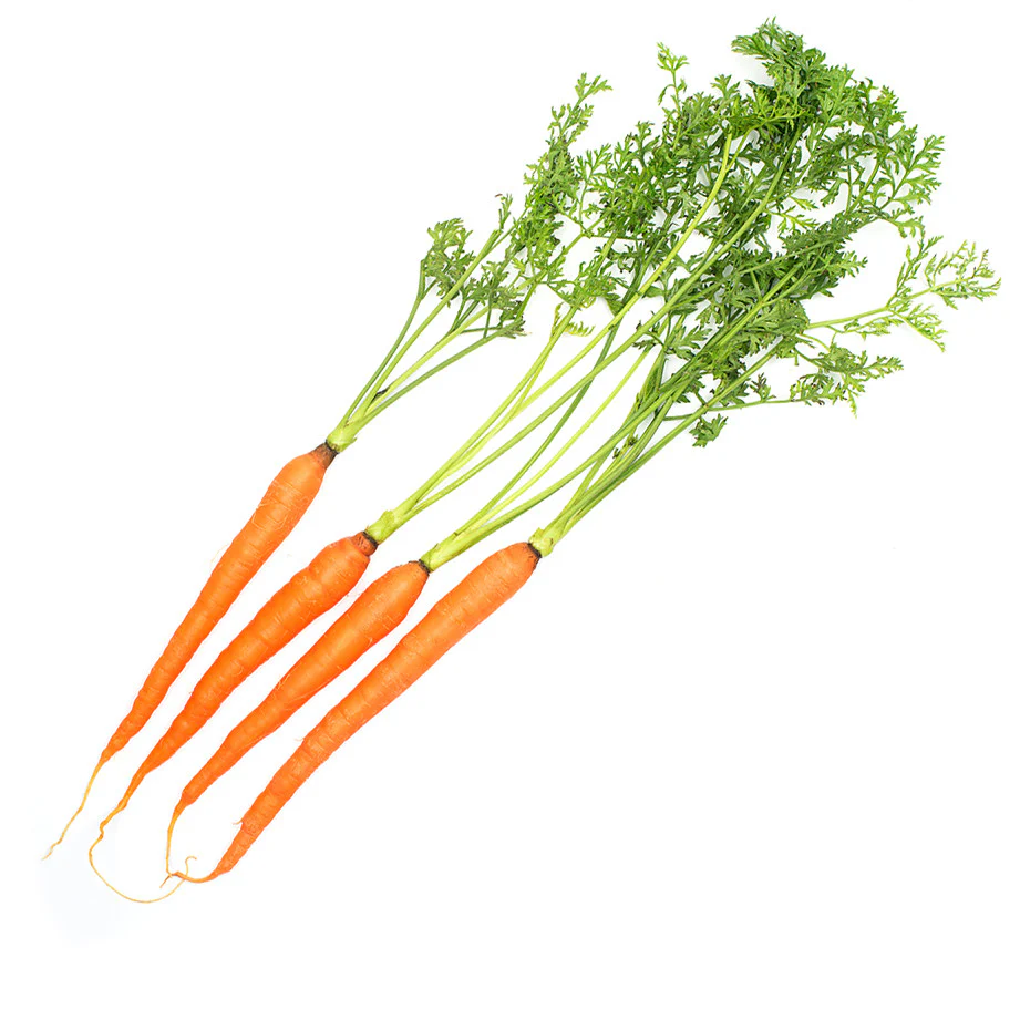 Carrot Dutch Bunch - Image 2