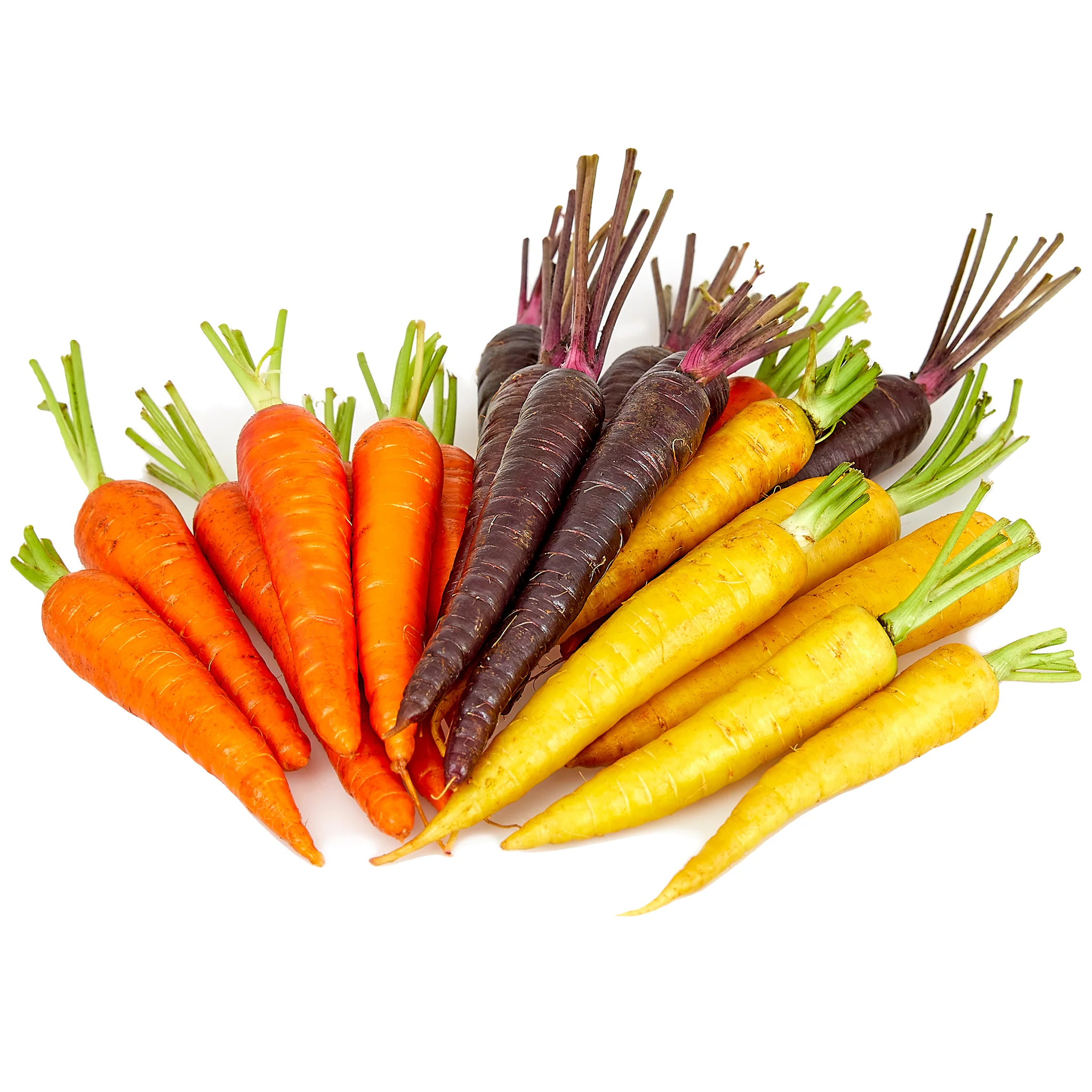 Carrot Rainbow Dutch 250g