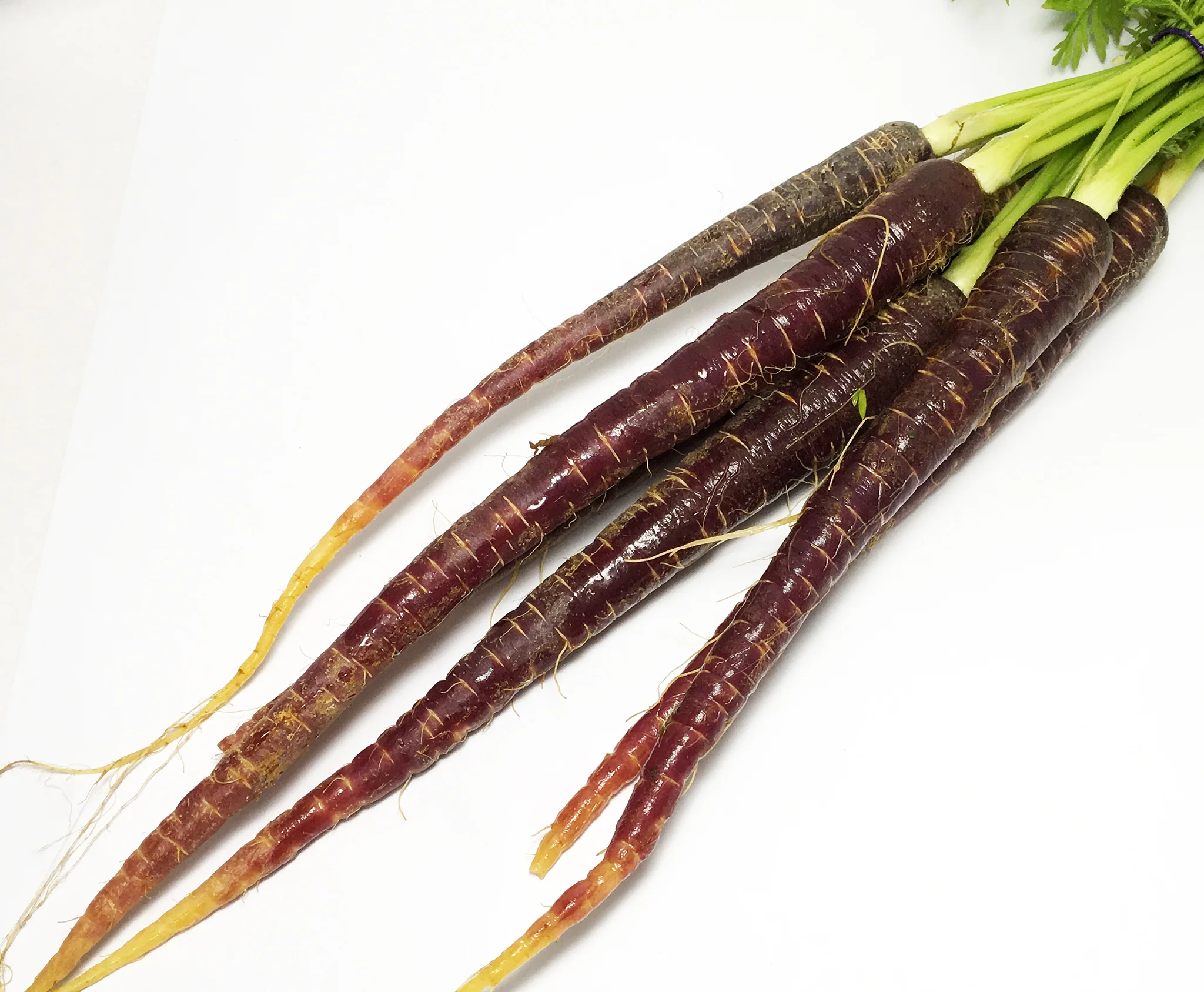 Carrot Purple Dutch Bunch - Image 2