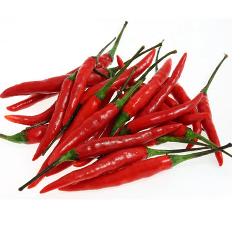 Chilli Birdseye Red Hot min 20g - Image 2