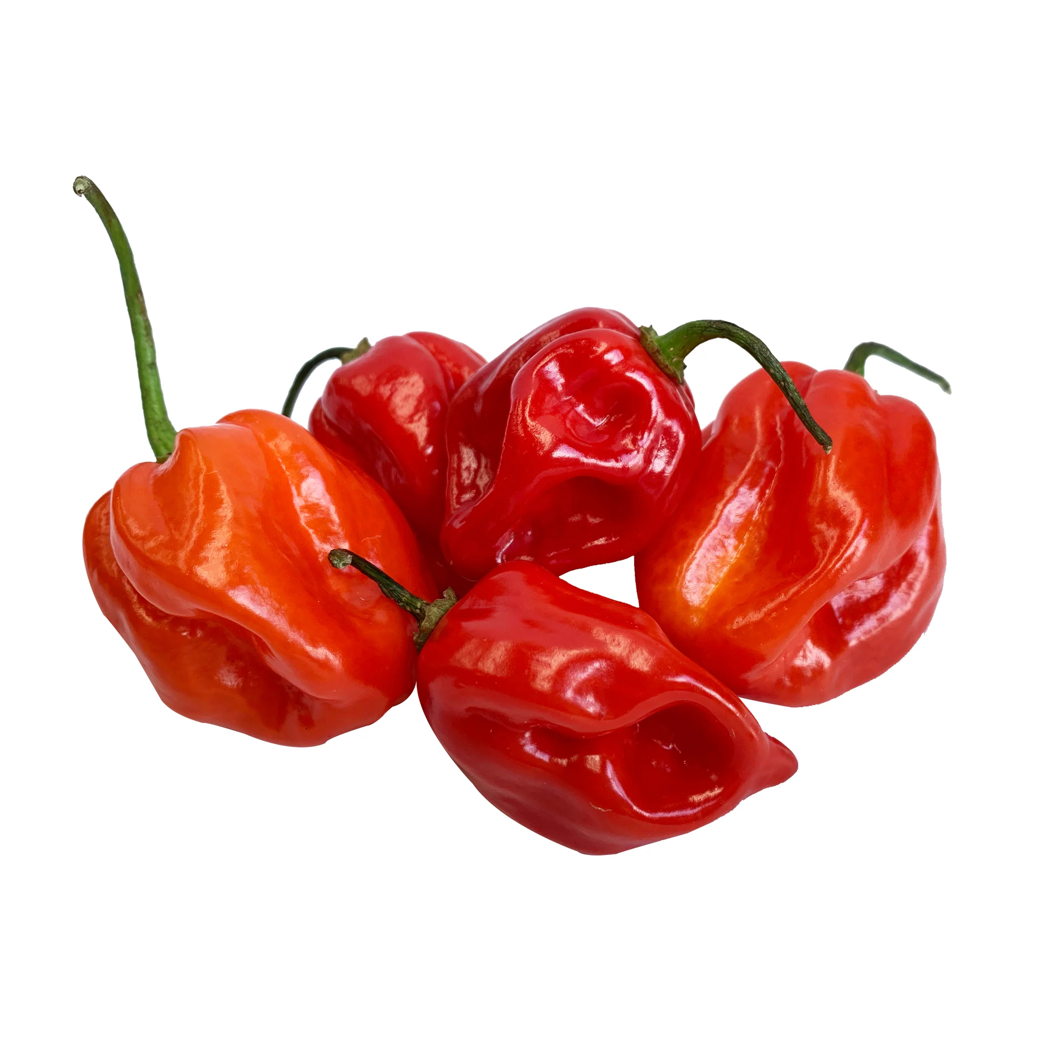 Chilli Red Habanero min 50g