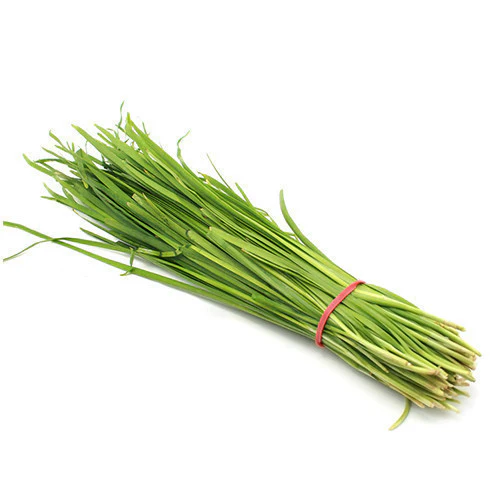 Fresh Herbs Garlic Chives Bunch