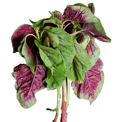 En Choy Bunch Each