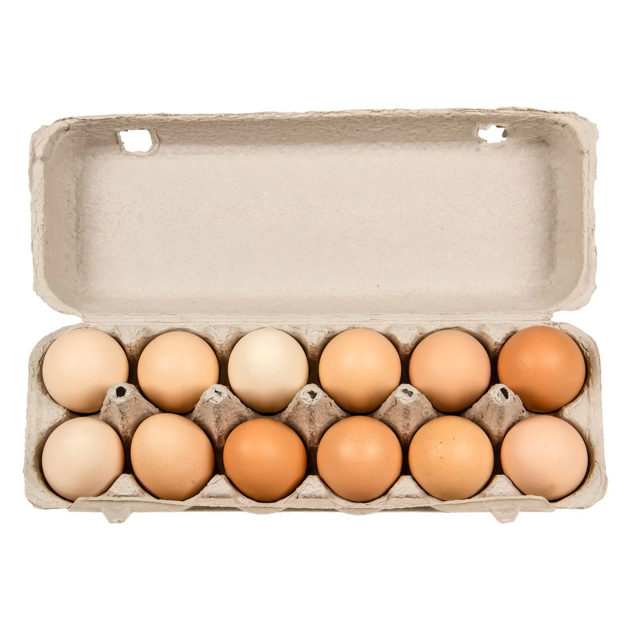 Farmer Rod's Pasture Grazed Free Range Eggs x12 700g - Image 3