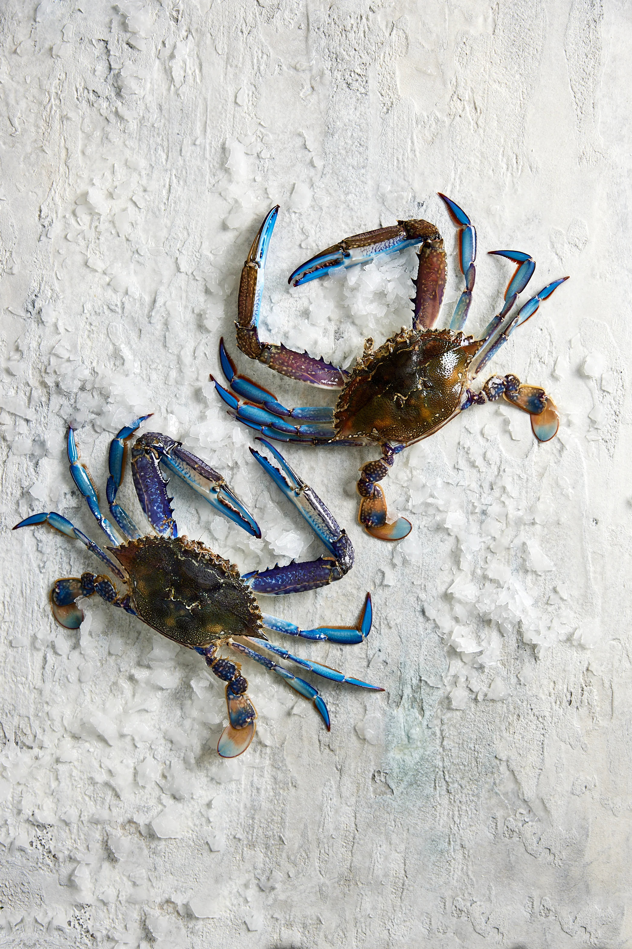 Fish in the Family Wild Caught Blue Swimmer Crab Raw Cleaned min 350g - Image 2