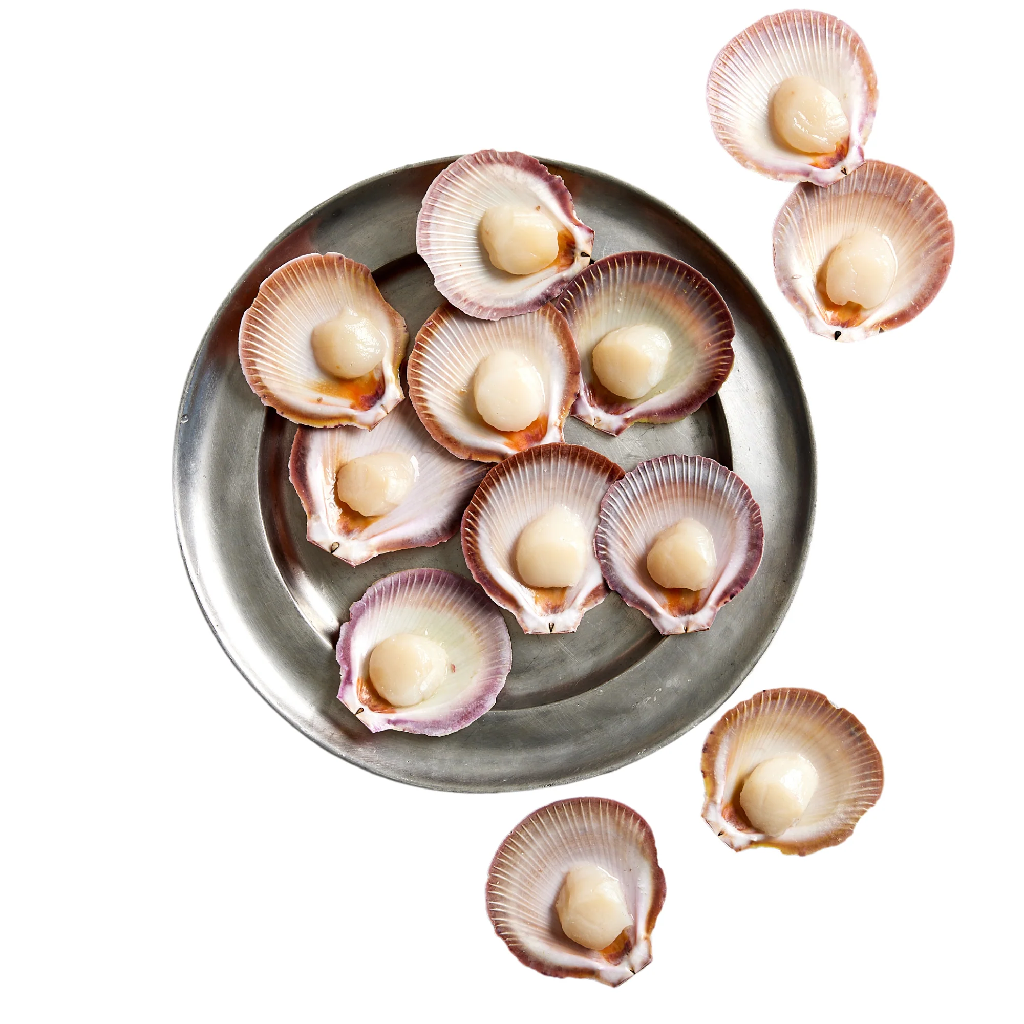 Fish in the Family Wild Caught Large Half Shell Scallop Each
