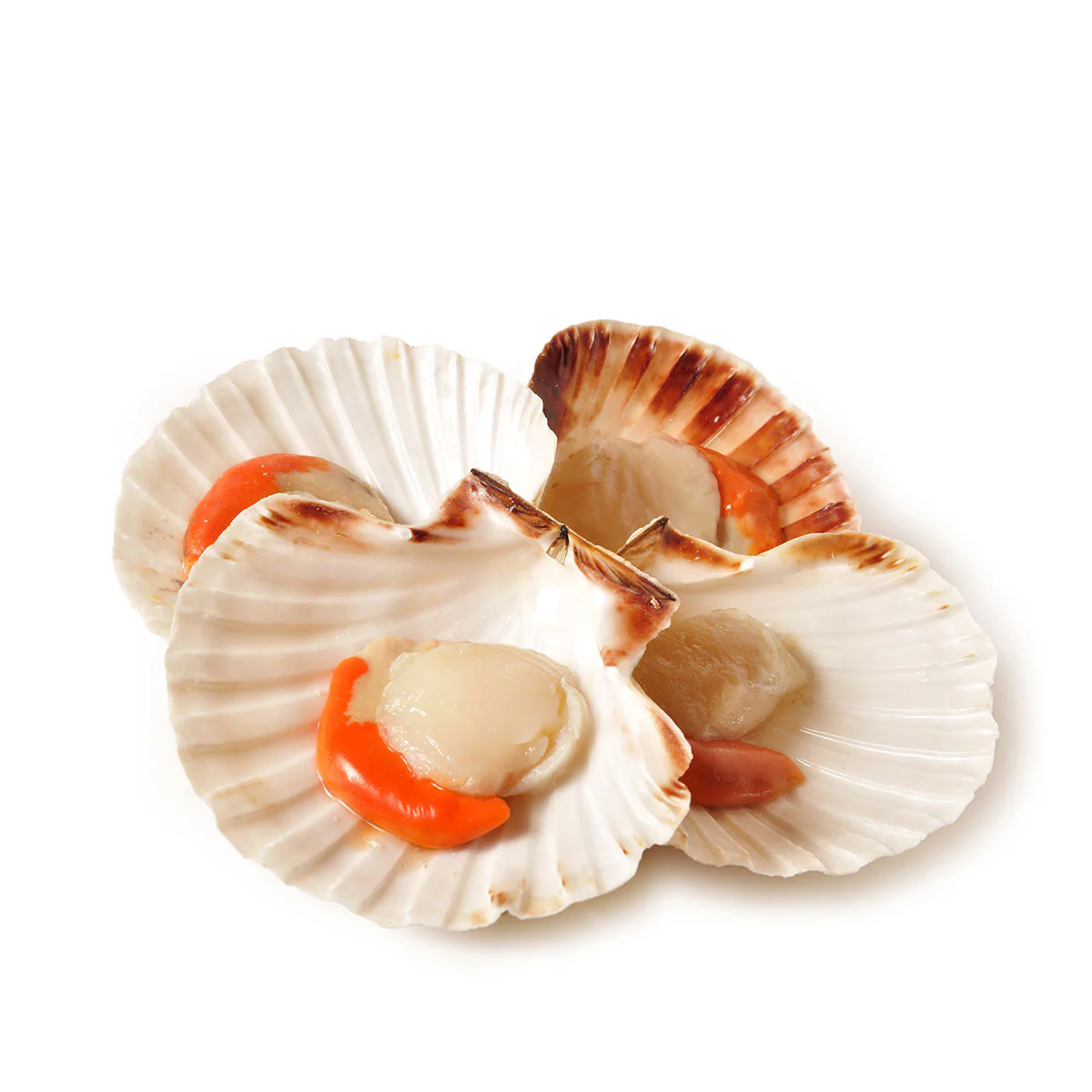 Fish in the Family Wild Caught Large Half Shell Scallop Each - Image 2