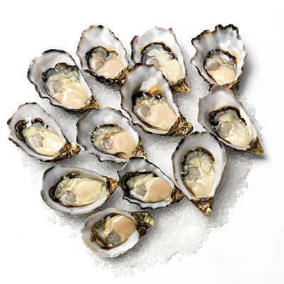 Fish in the Family Pacific Oysters Large 1 doz
