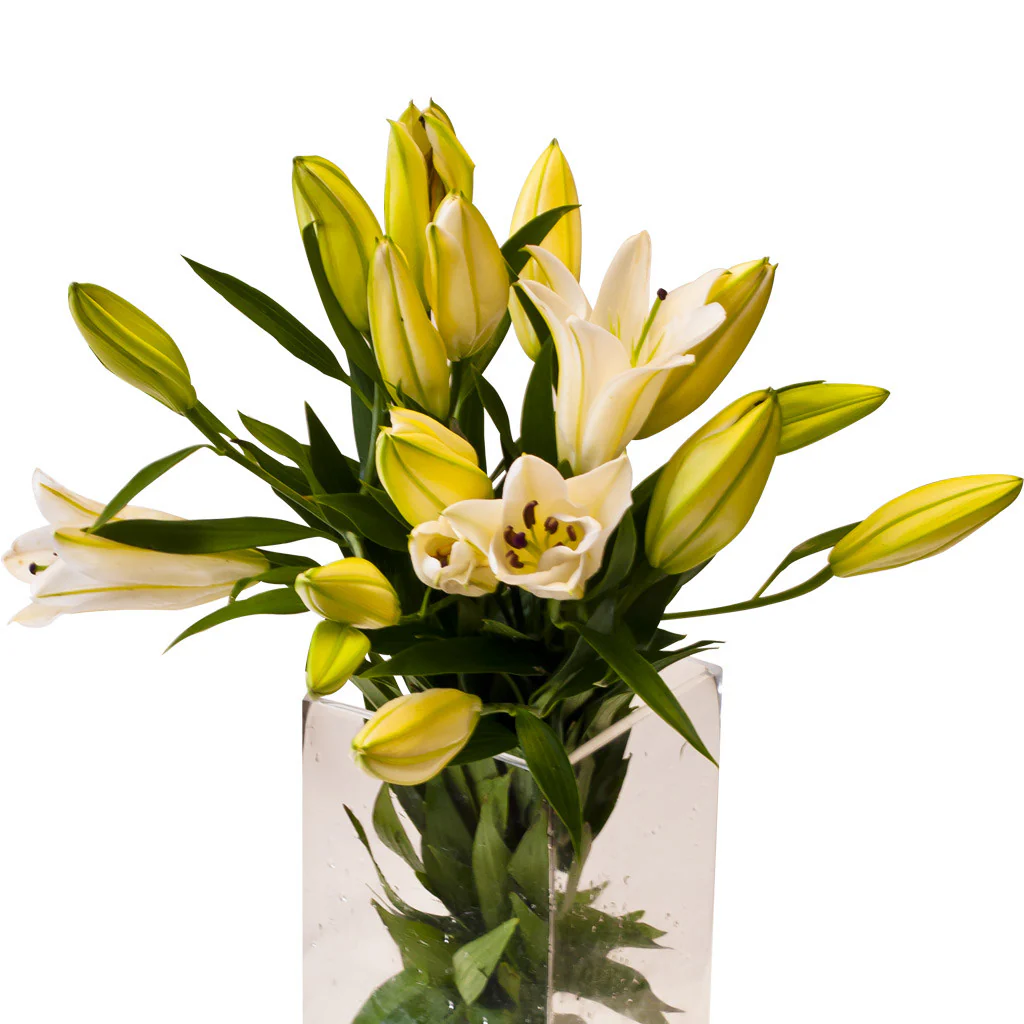 Flowers Oriental Lilies White 5 Stem - Image 2