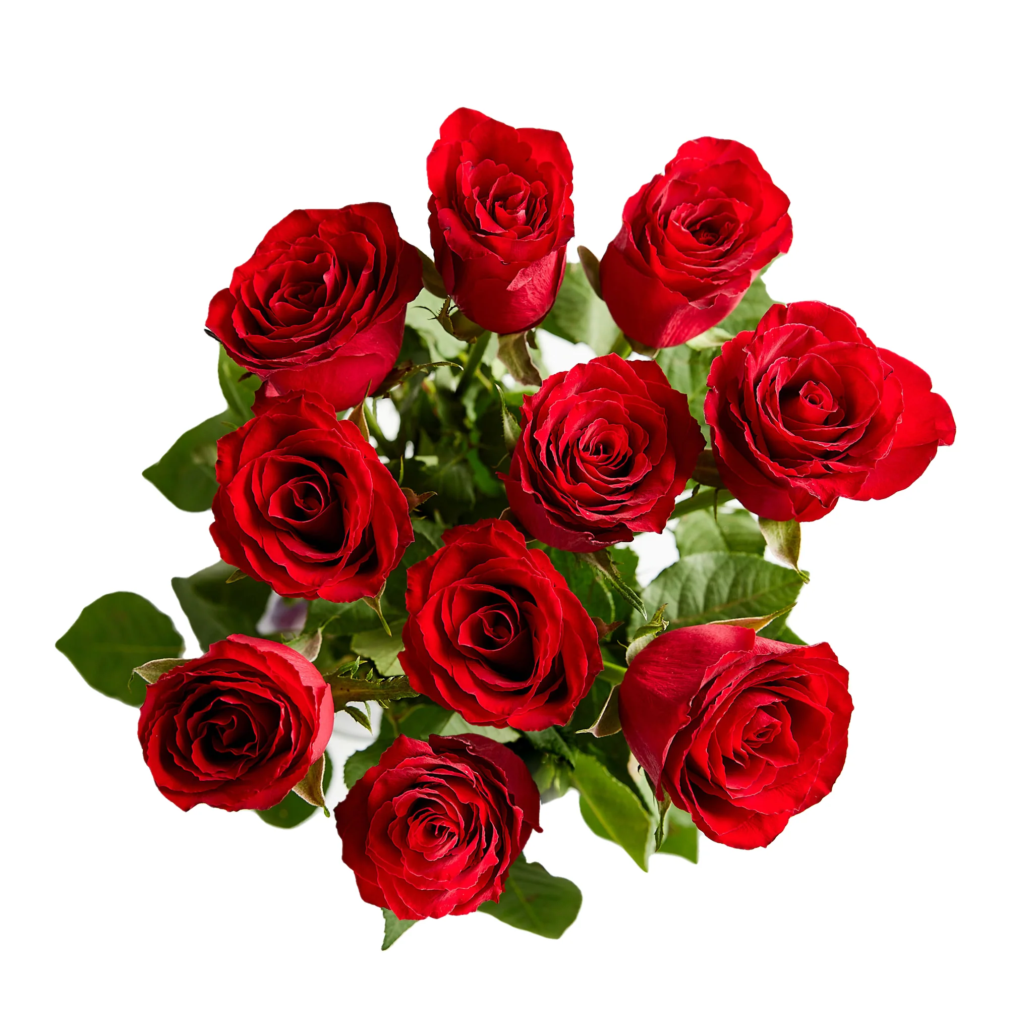 Flowers Medium Roses Bunch - Image 3