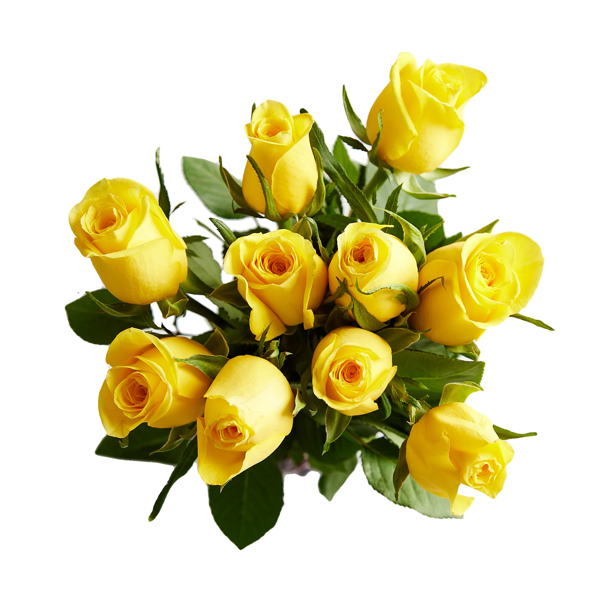 Flowers Medium Roses Bunch - Image 4