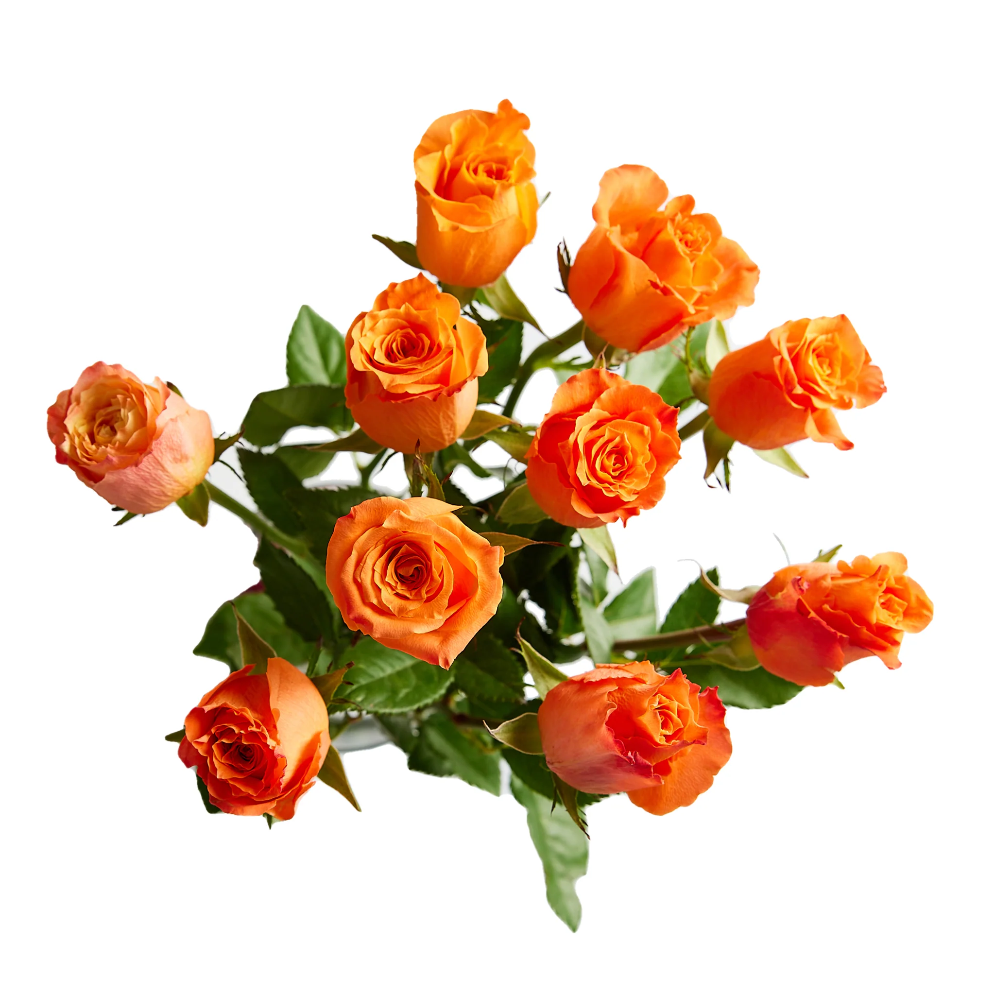 Flowers Medium Roses Bunch - Image 5