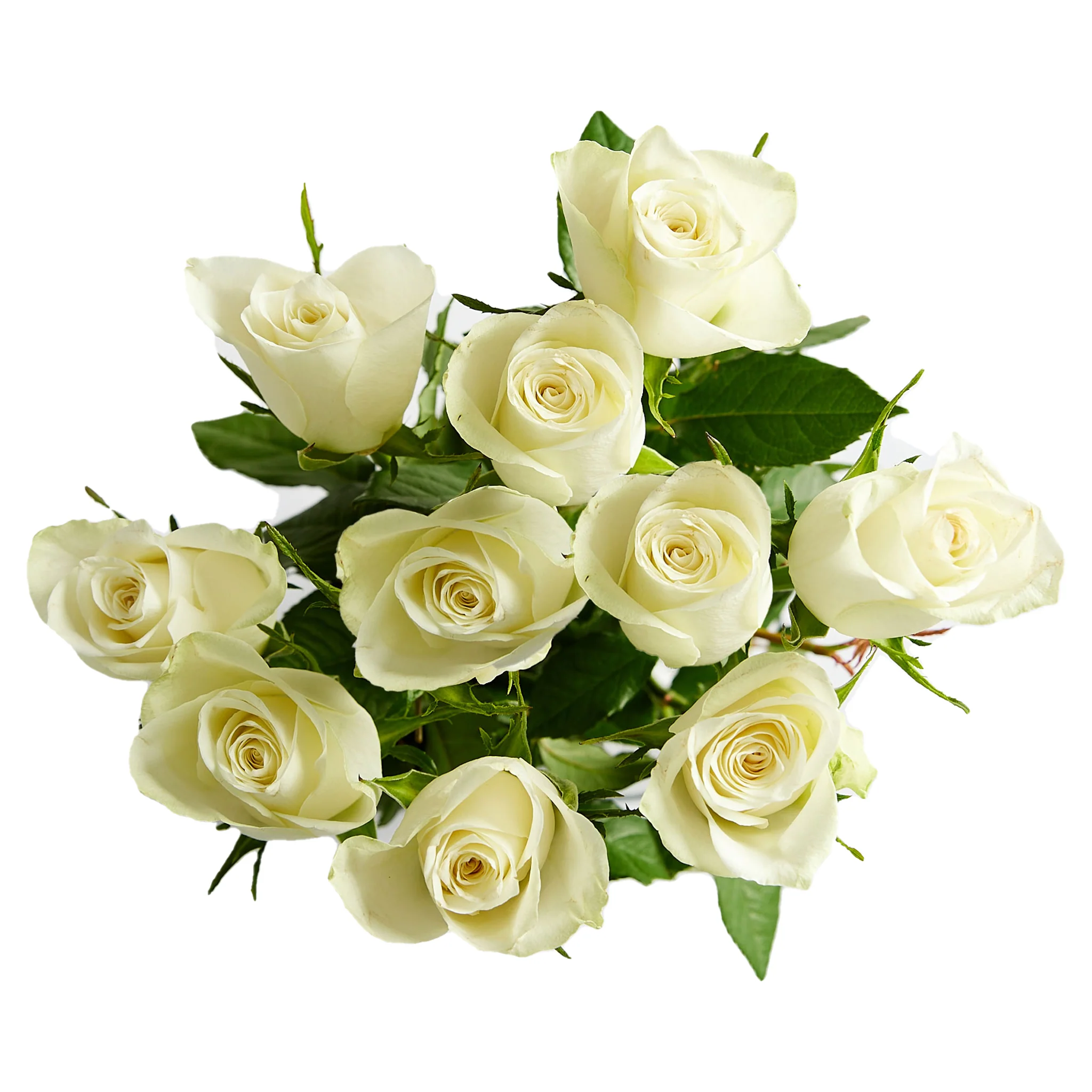 Flowers Medium Roses Bunch - Image 6