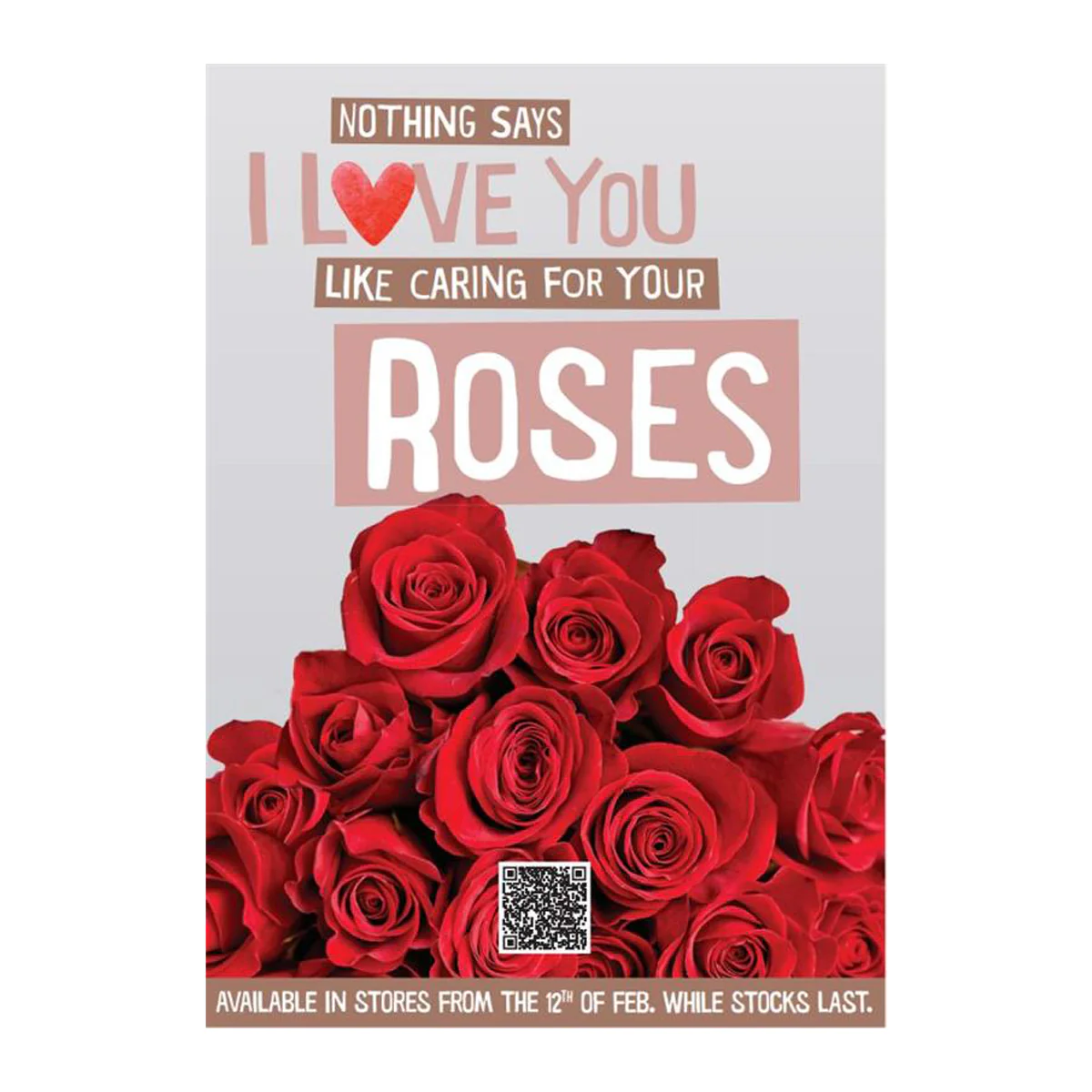 Flowers Australian Natives Bouquet Large - Image 6