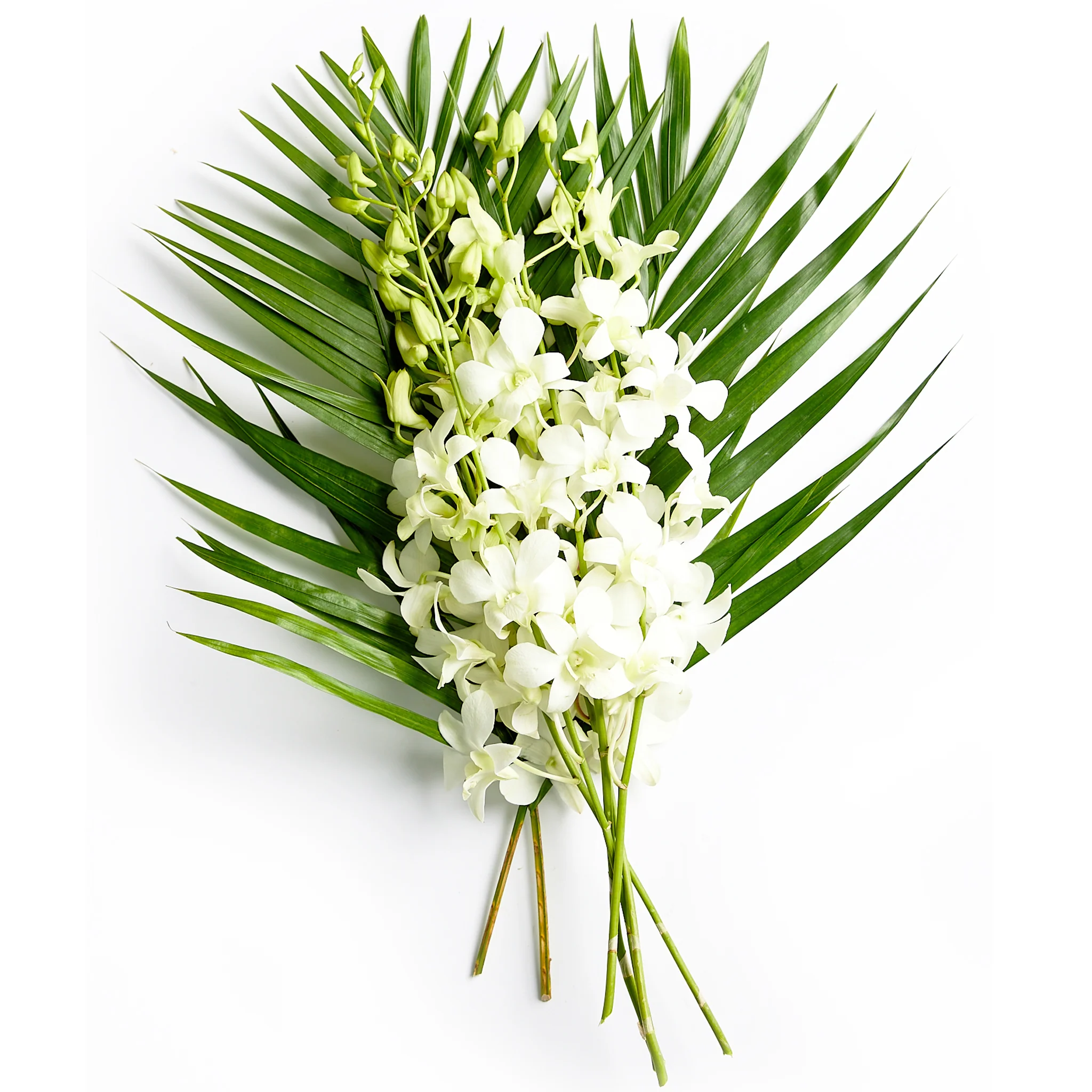 Flowers Singapore Orchids With Palm Bunch - Image 3