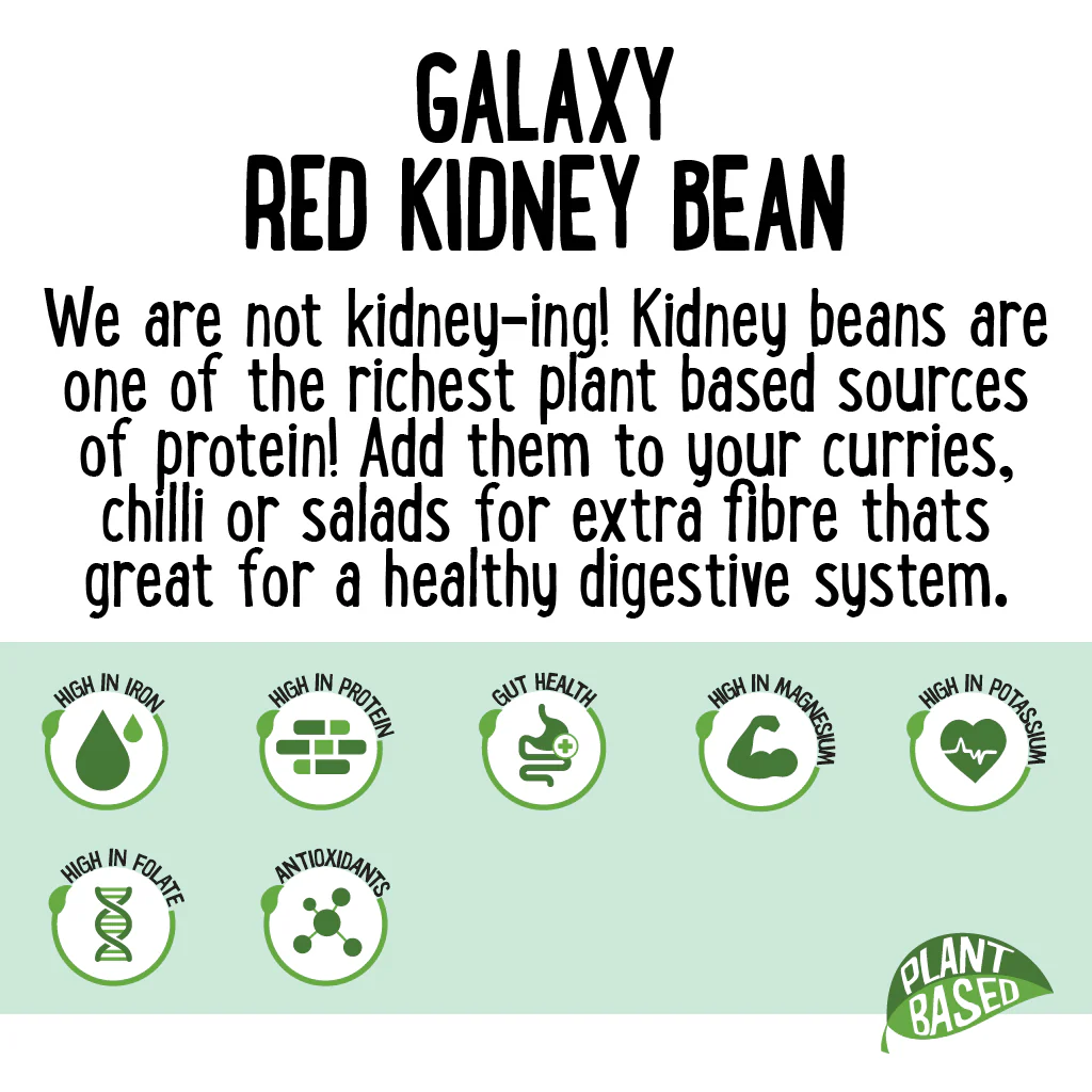 Galaxy Red Kidney Beans 1kg - Image 3