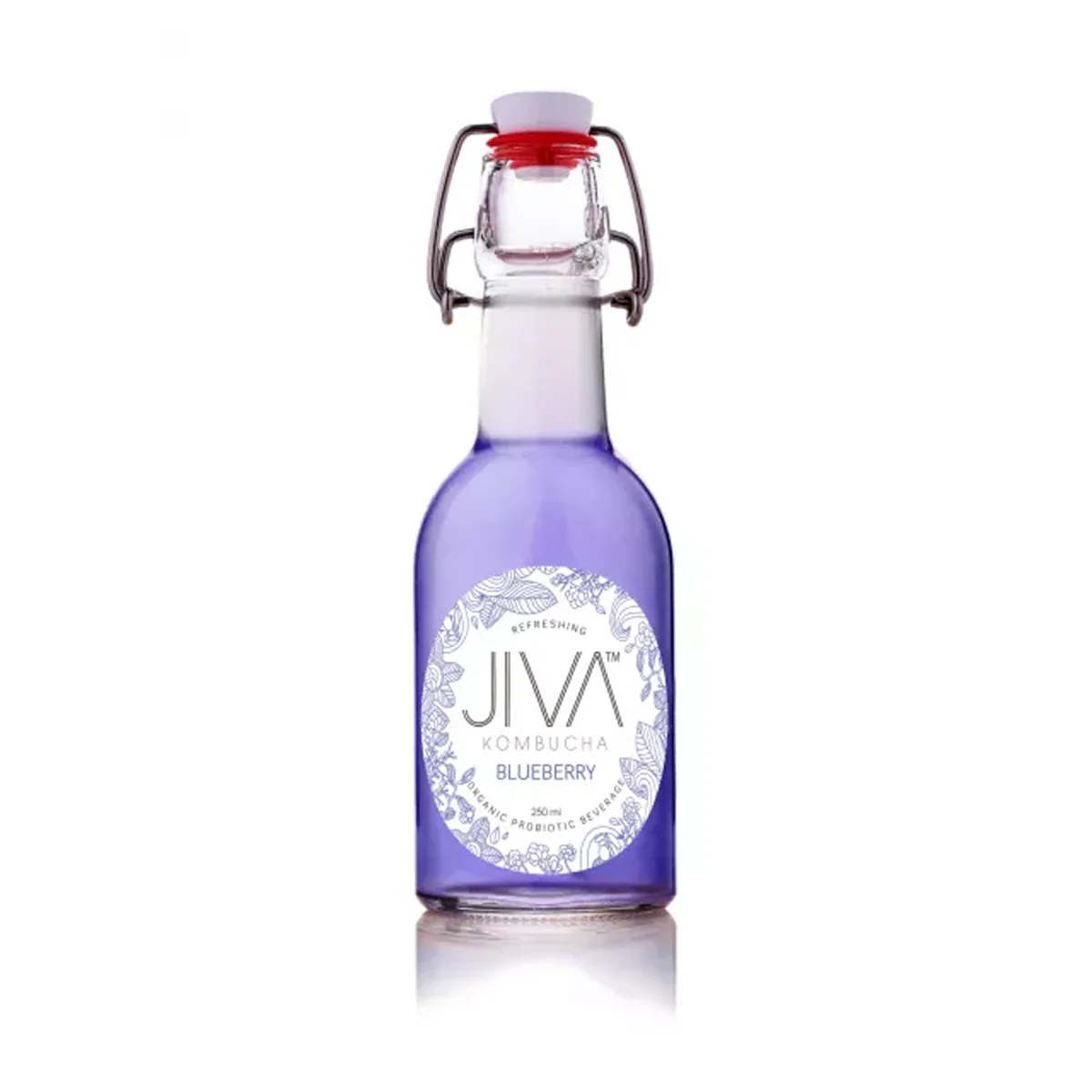 Jiva Kombucha Blueberry 250ml