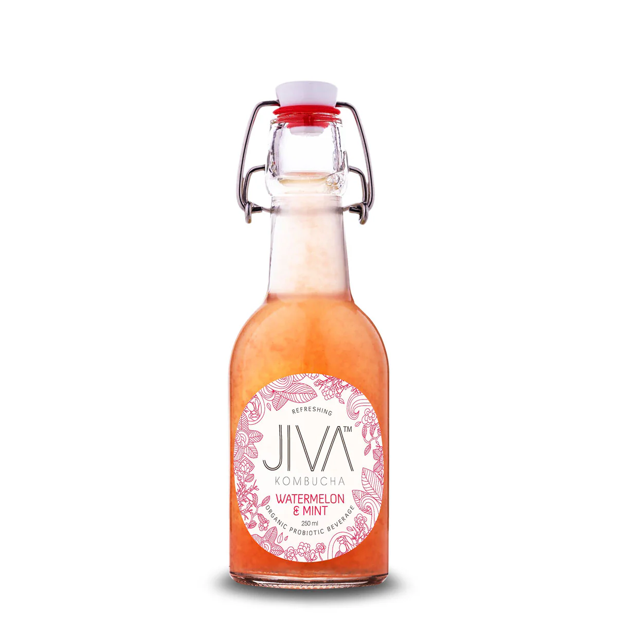 Jiva Kombucha Watermelon and Mint 250ml