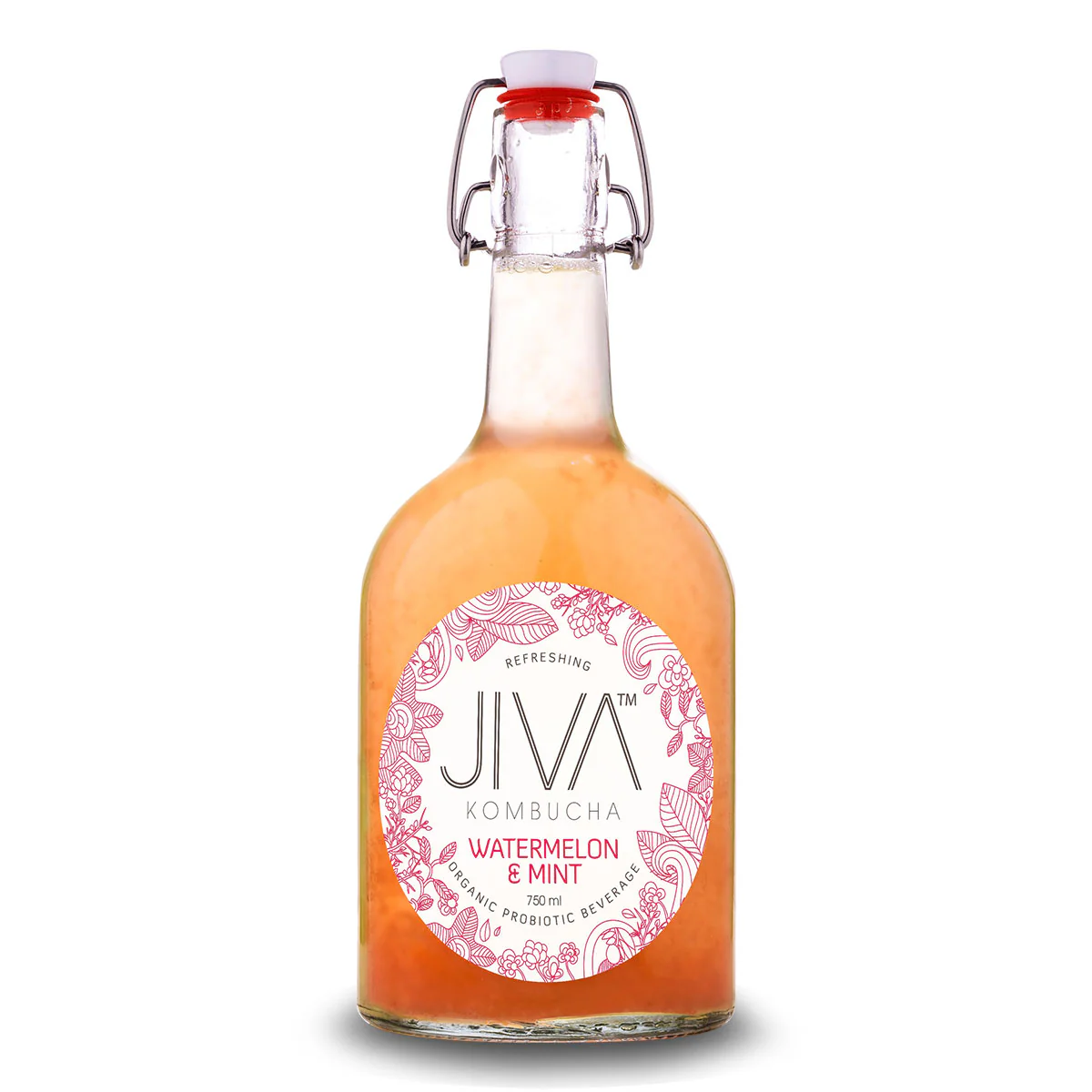 Jiva Kombucha Watermelon and Mint 750ml