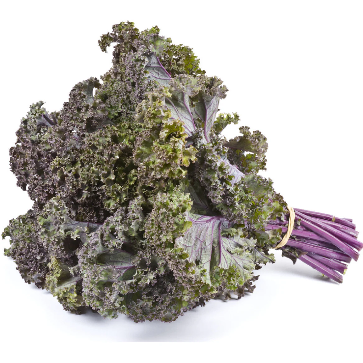 Kale Purple bunch