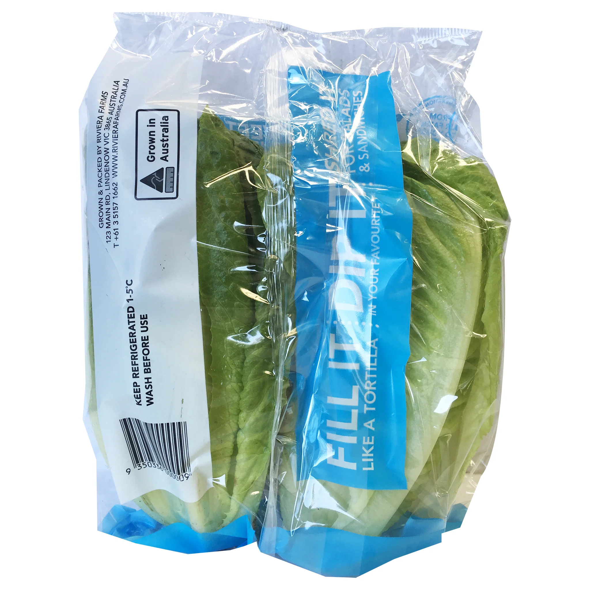 Lettuce Baby Cos Twin Pack - Image 3
