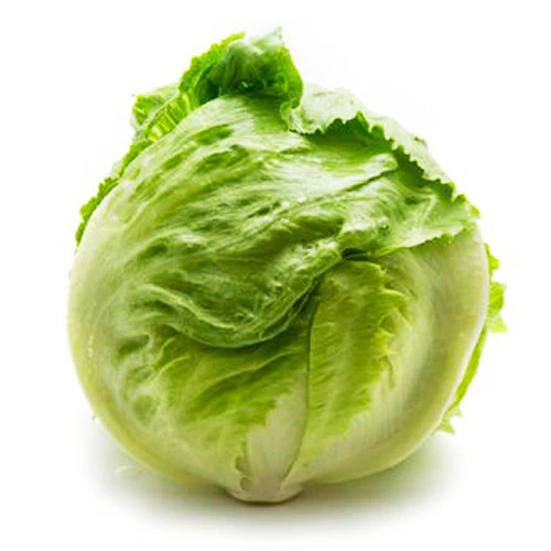 Lettuce Iceberg Each