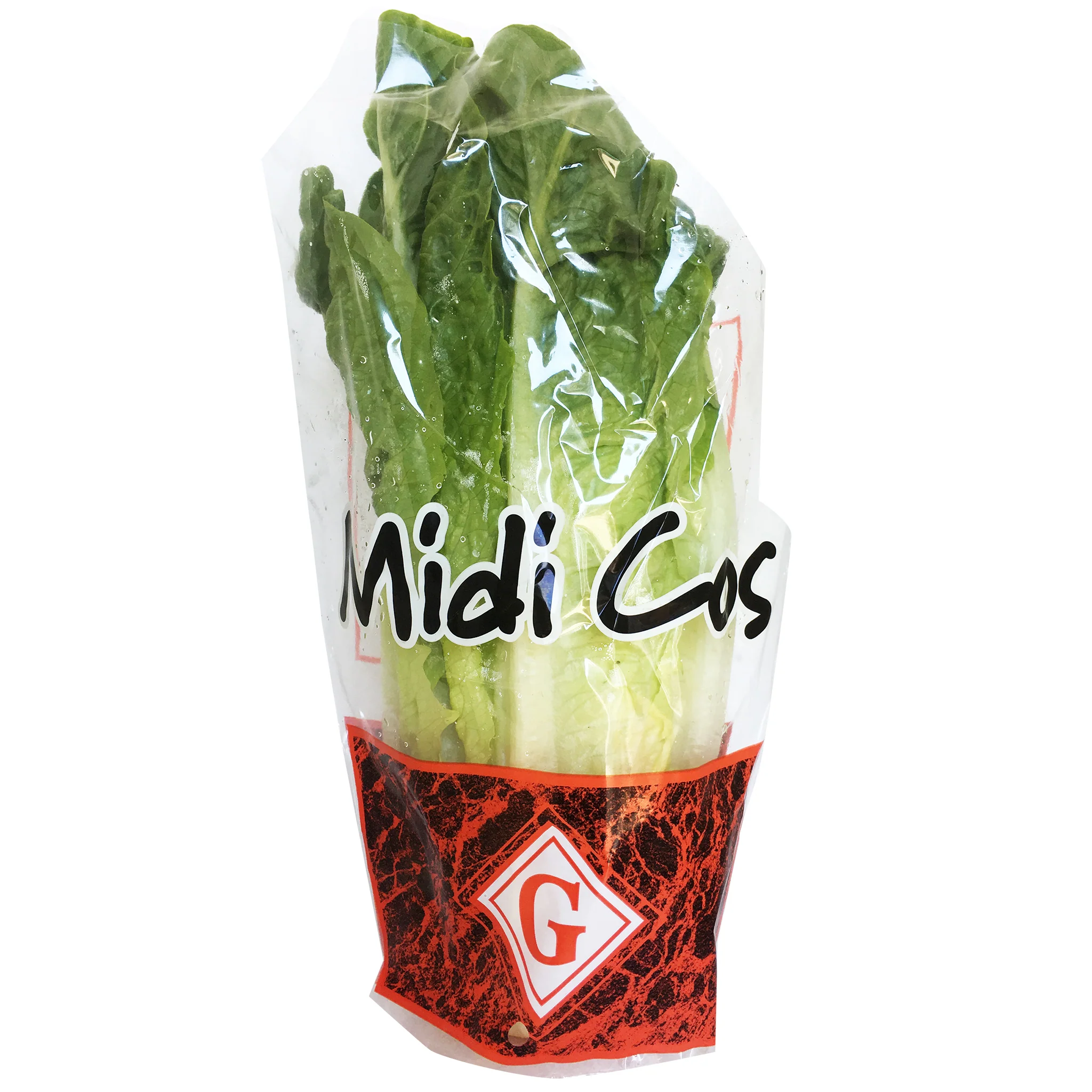 Lettuce Midi Cos Each - Image 2