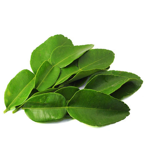 Fresh Herbs Lime Leaves Punnet