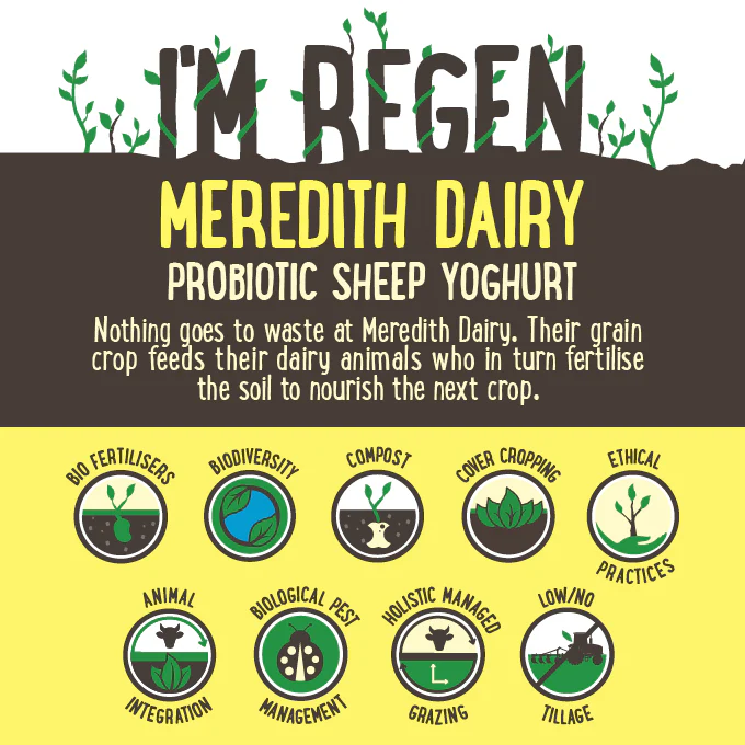 Meredith Dairy Natural Sheep Milk Yoghurt Probiotic 1kg - Image 2