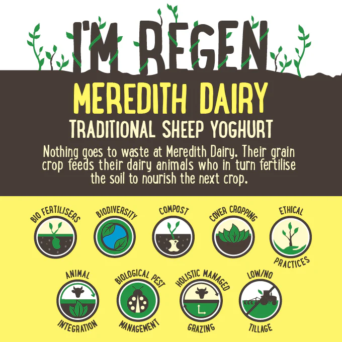Meredith Dairy Natural Sheep Milk Yoghurt Traditional Greek 1kg - Image 2