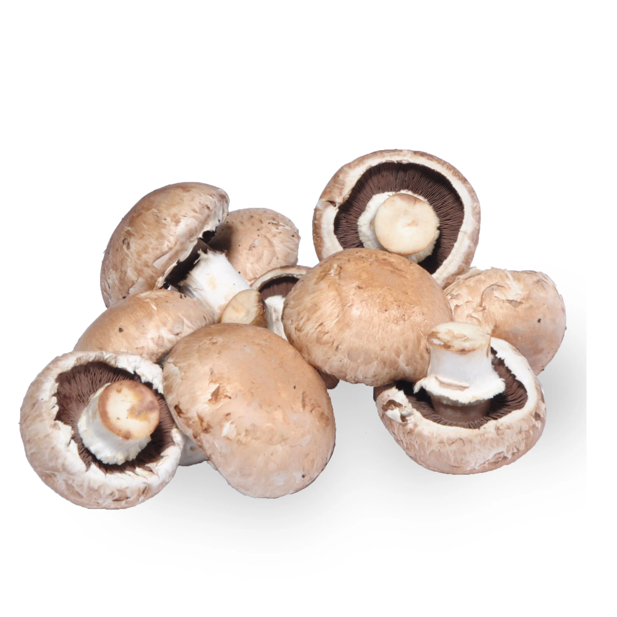 Mushrooms Swiss Brown Organic 180g - Image 2