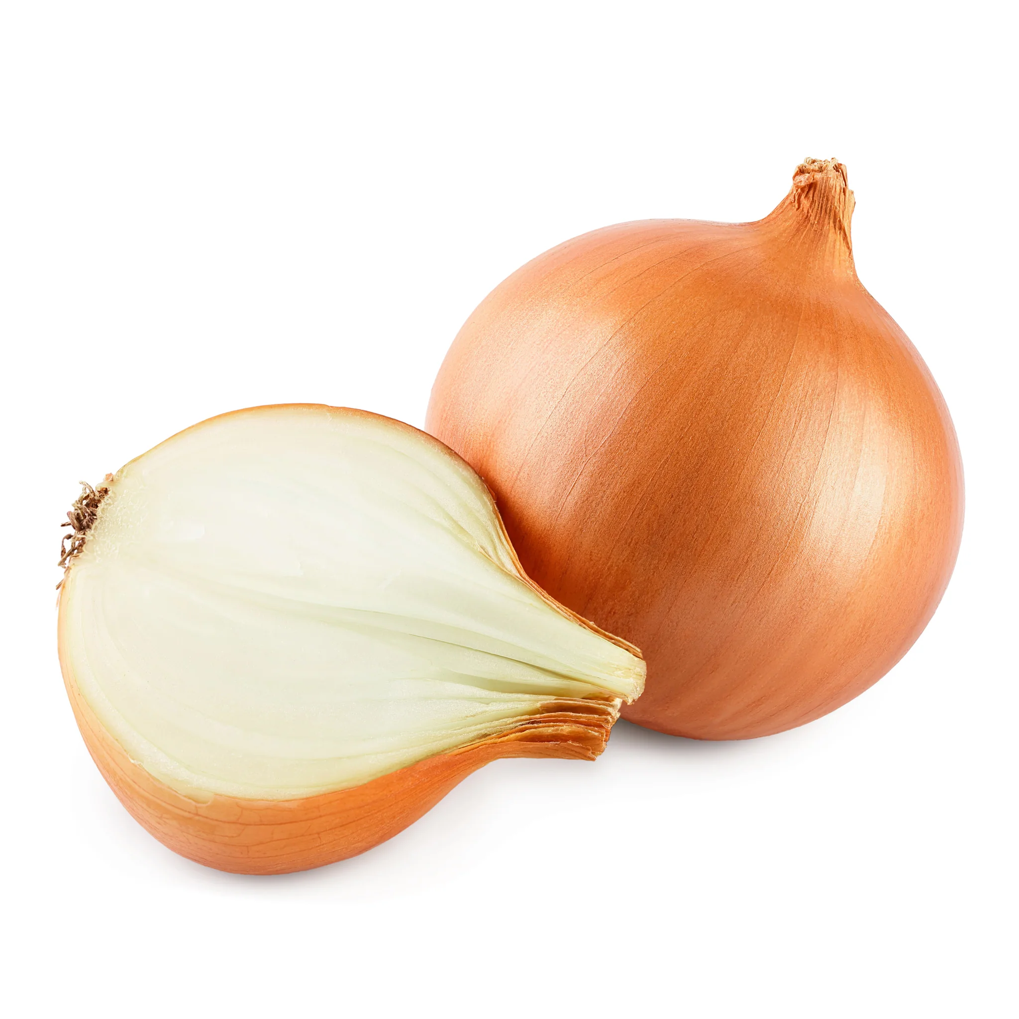 Onion Brown Each