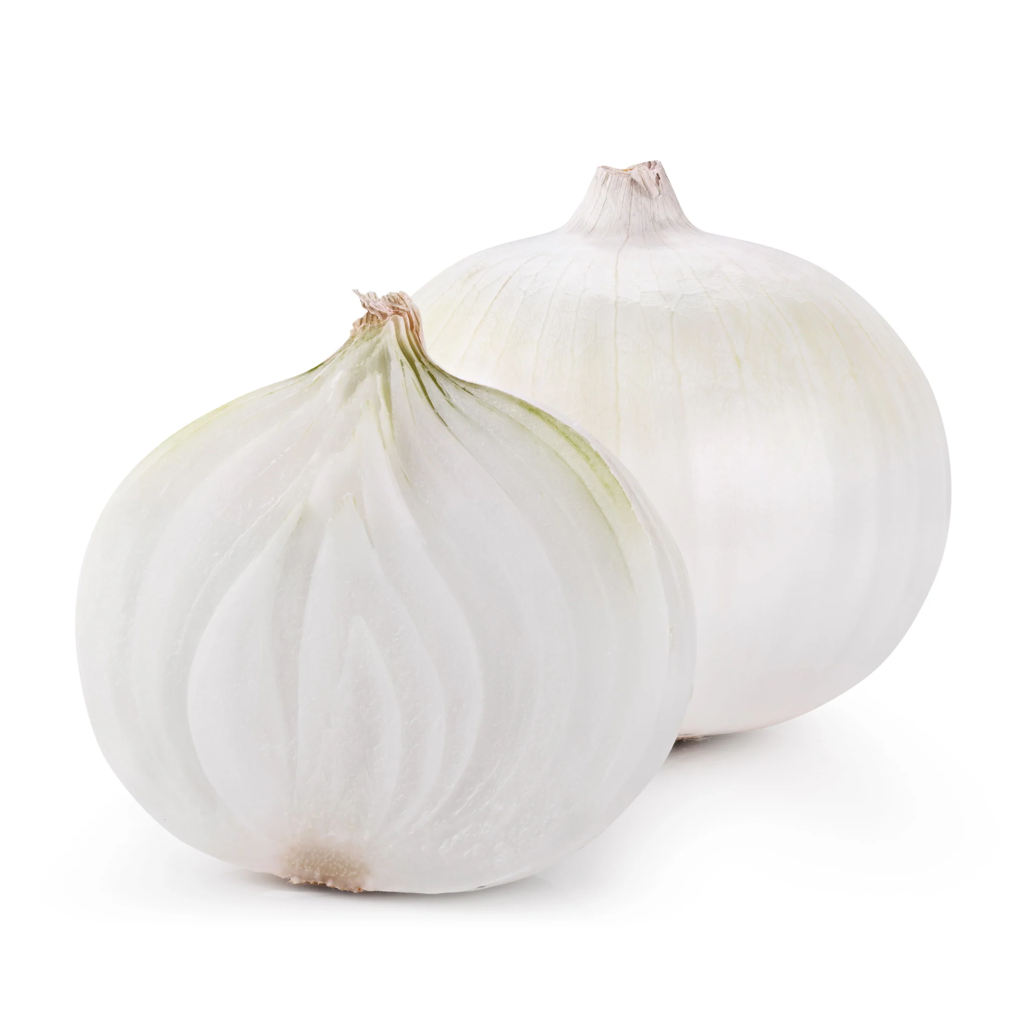Onion White Each