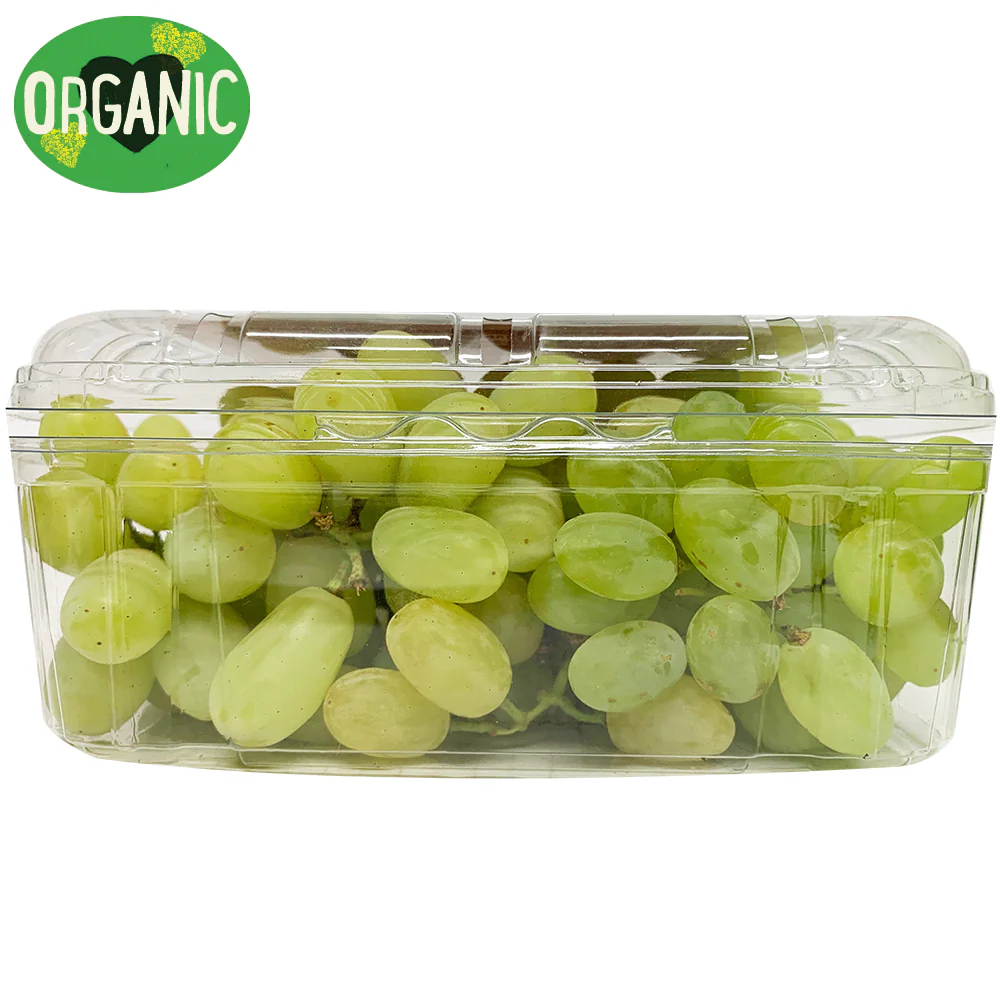 Grapes White Seedless Organic 500g - Image 3