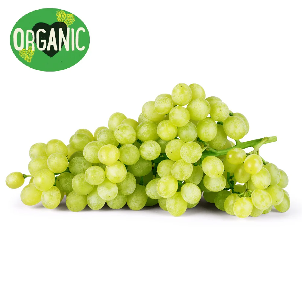 Grapes White Seedless Organic 500g - Image 4