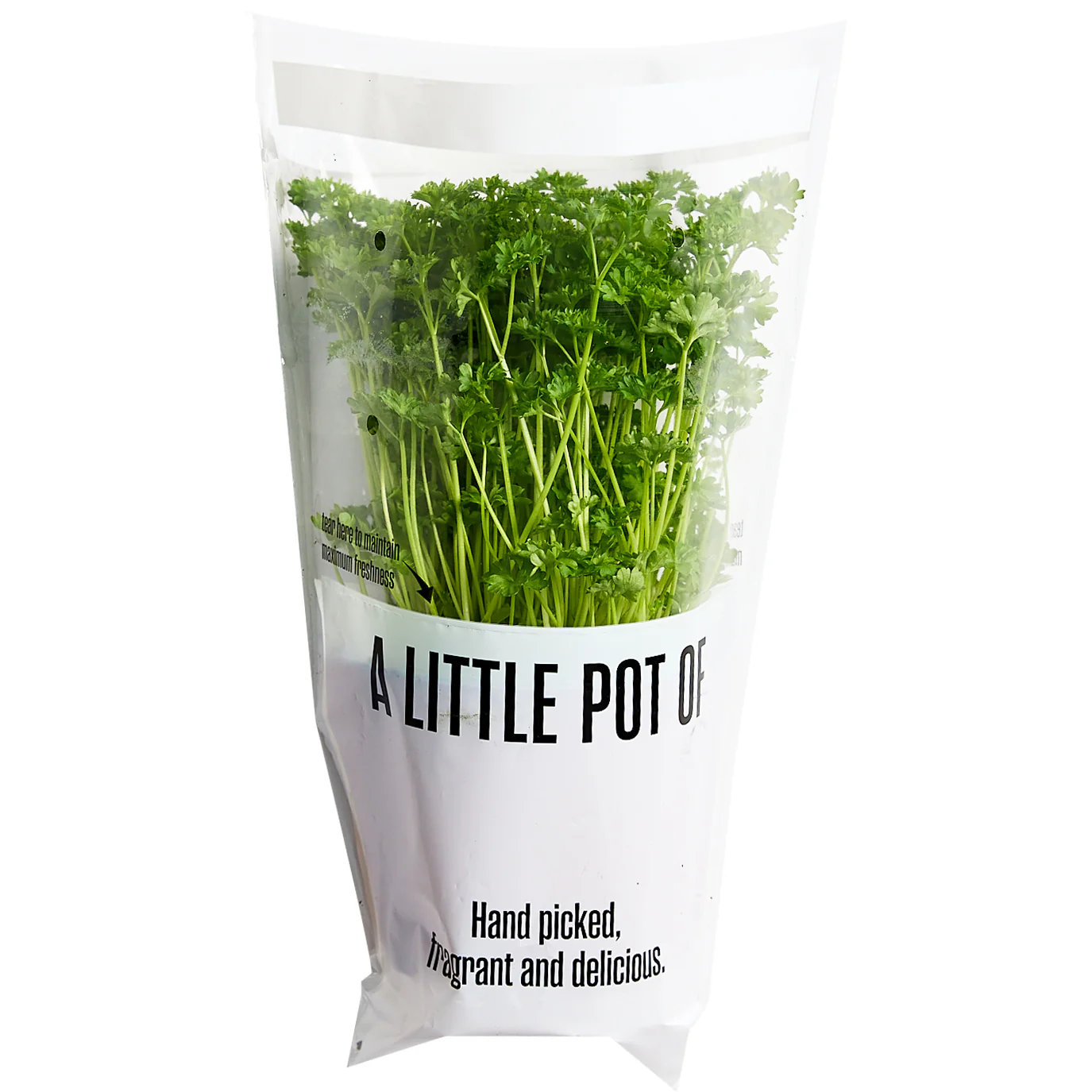 Fresh Herbs Parsley Curly Pot Each