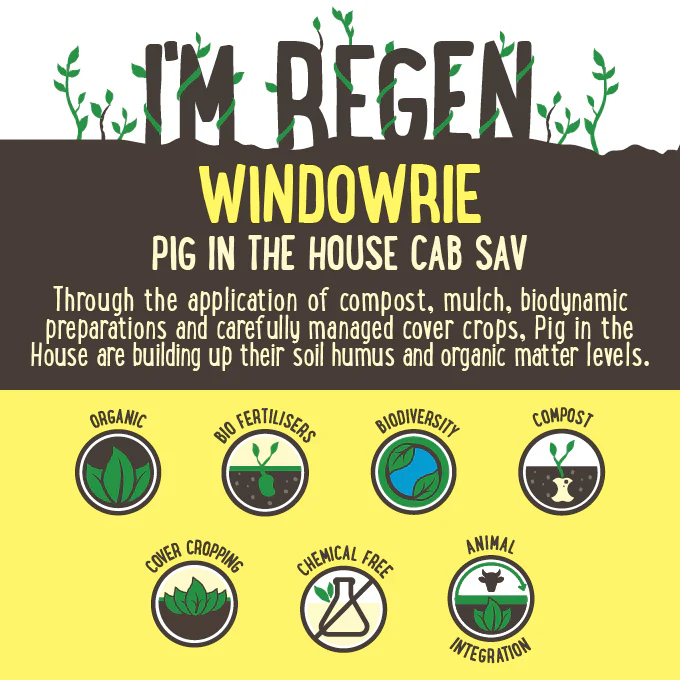 Pig in the House Cabernet Sauvignon Central Ranges NSW 750mL - Image 2