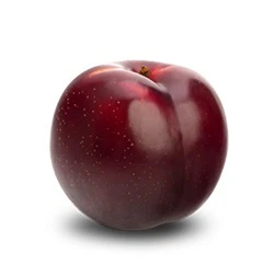 Plum Black Kat Each