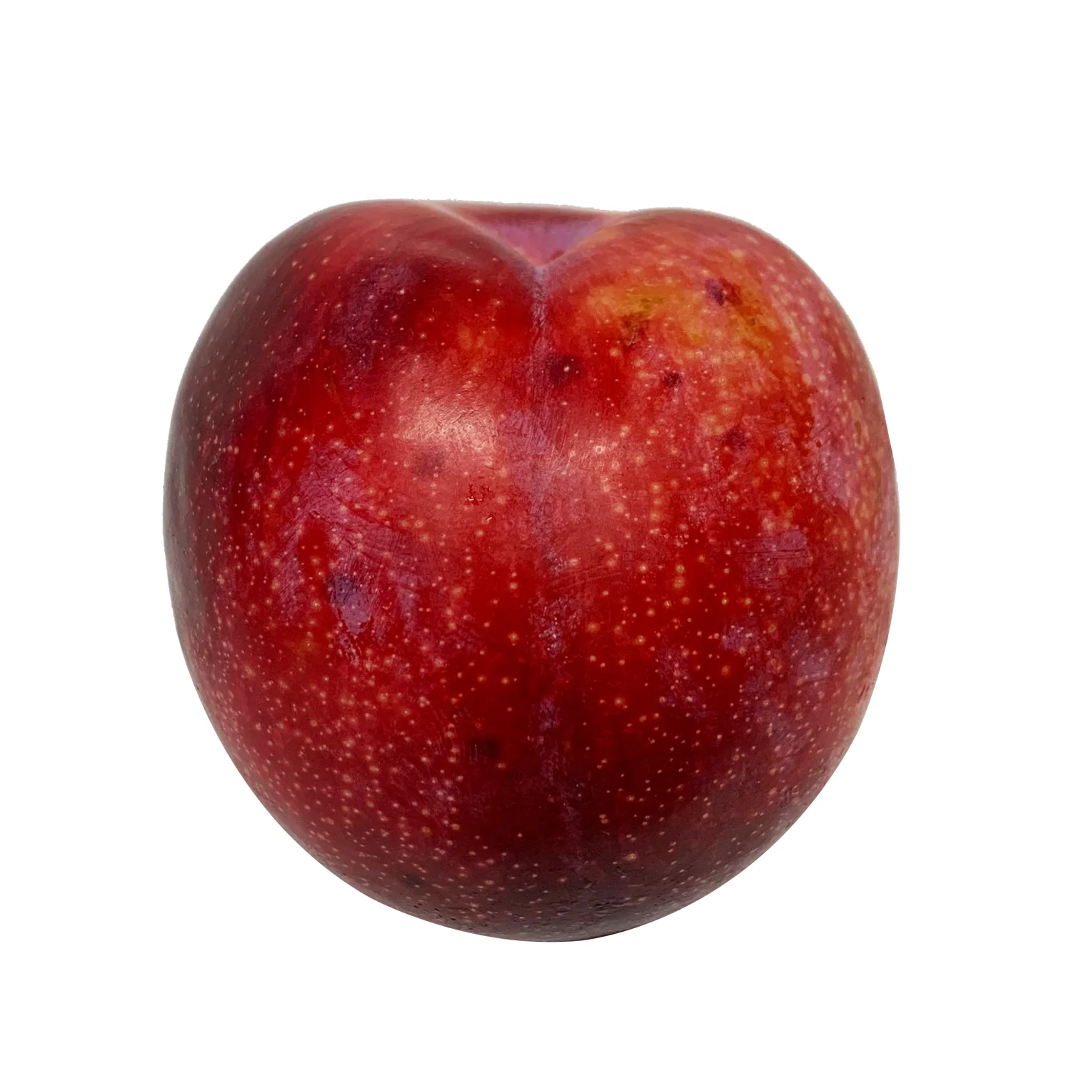 Plum September Candy Each