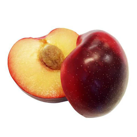Plum September Candy Each - Image 2